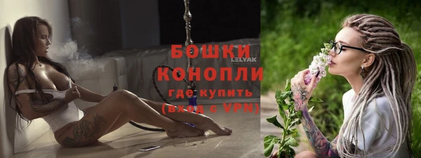 дмт Белокуриха