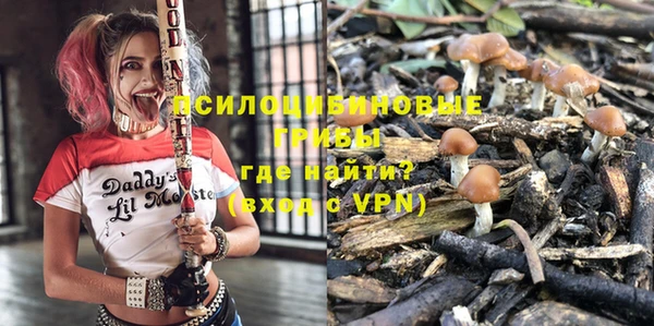 дмт Белокуриха