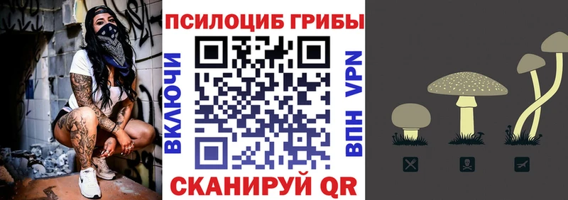 Галлюциногенные грибы Psilocybe  kraken зеркало  Корсаков 